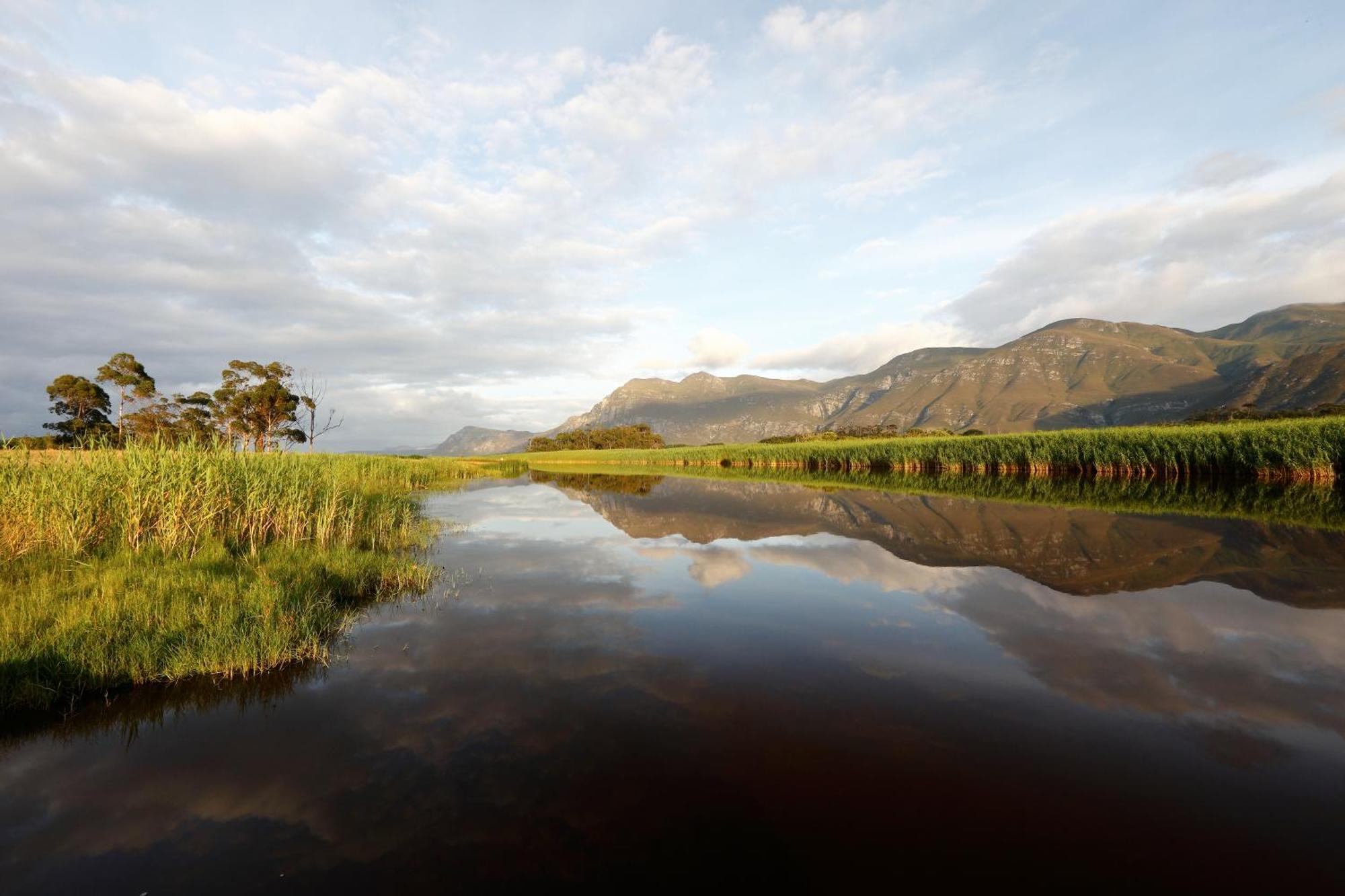 Springfontein River Lodge Stanford Ngoại thất bức ảnh