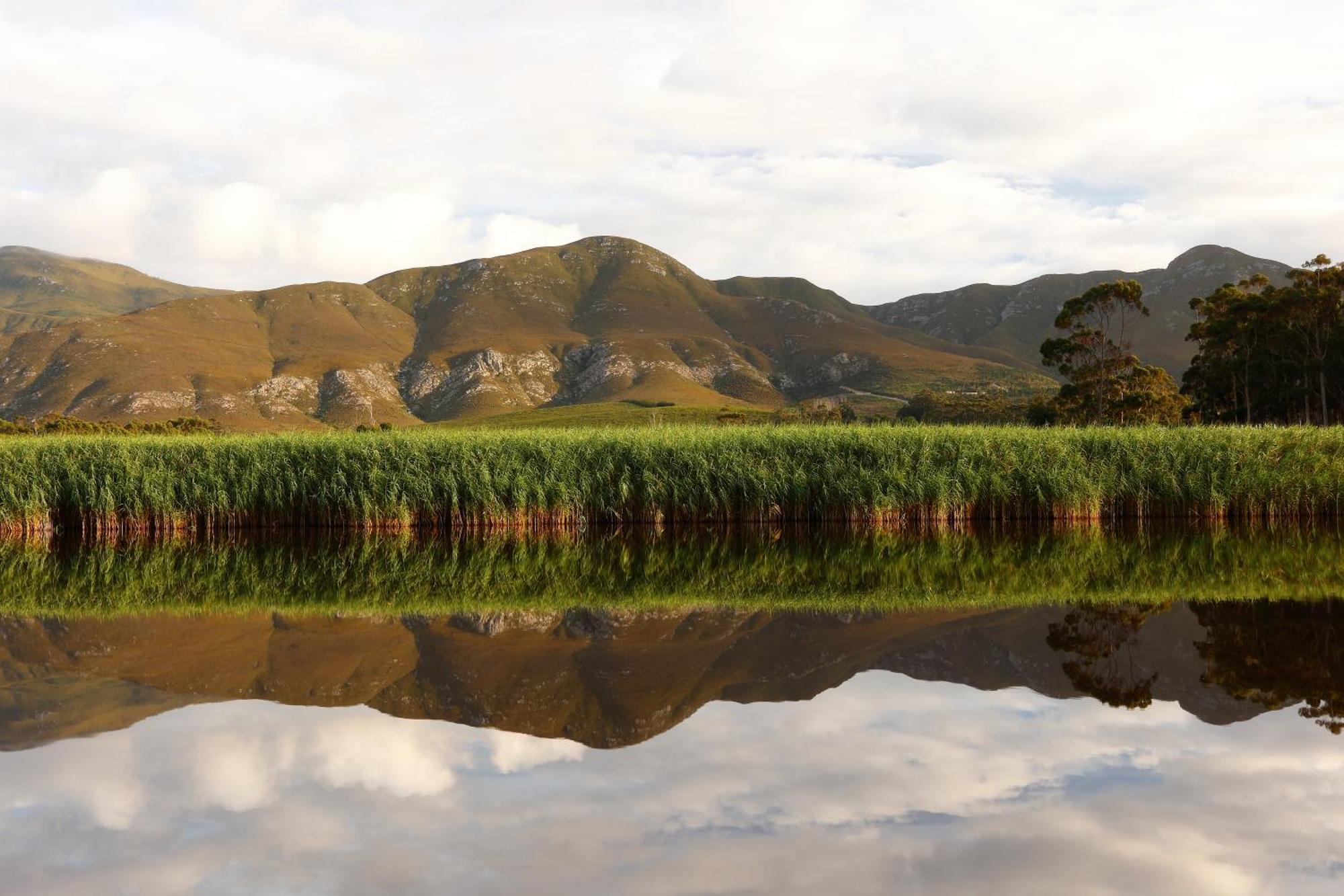 Springfontein River Lodge Stanford Ngoại thất bức ảnh